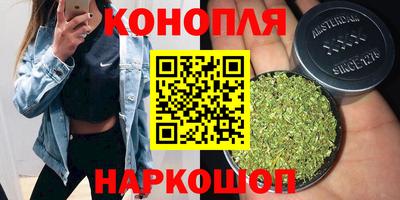 СК Краснознаменск