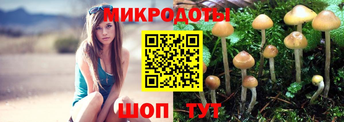 Каменск-Уральский  Галлюциногенные грибы Cubensis  Вход с VPN  Псилоцибиновые грибы Magic Shrooms 